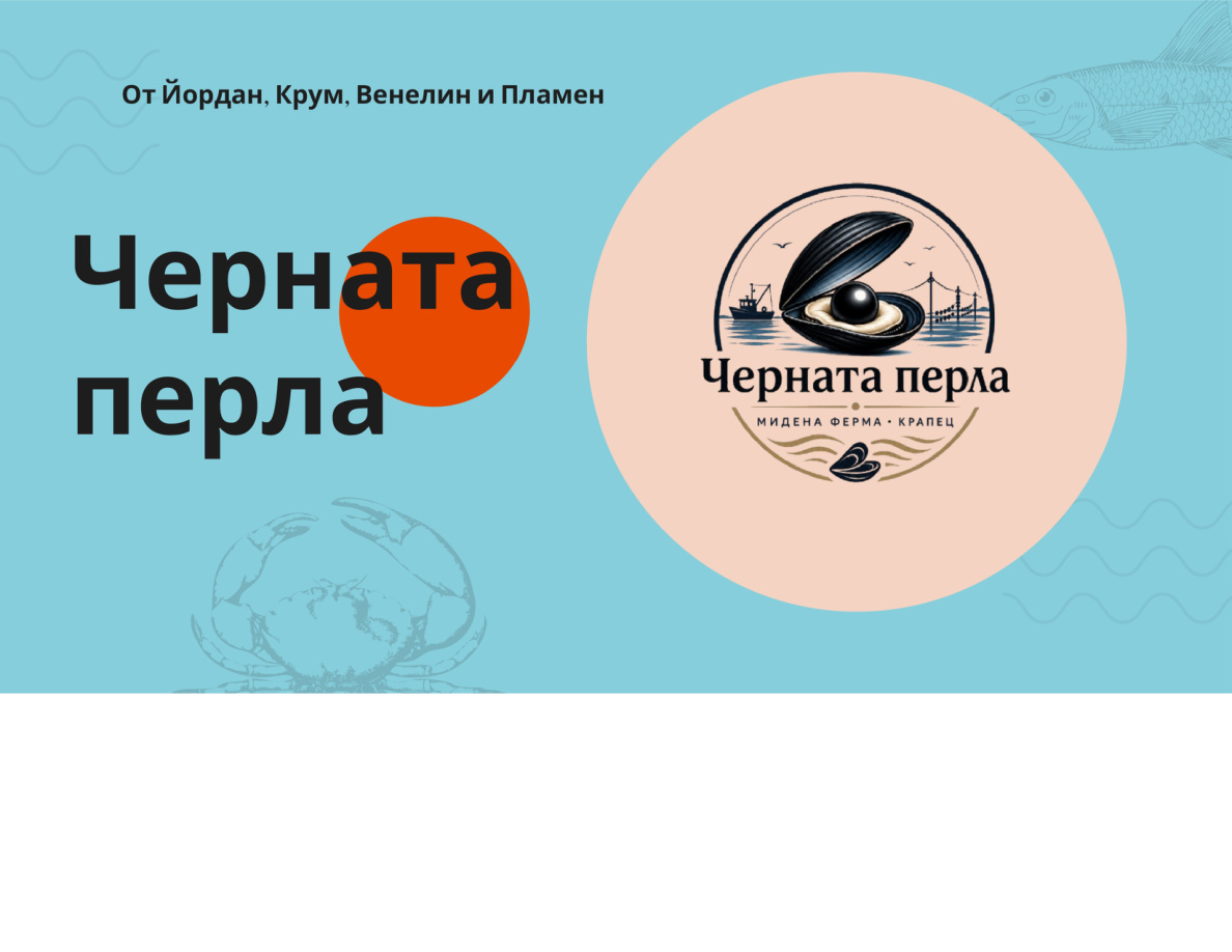 Черната перла презентация