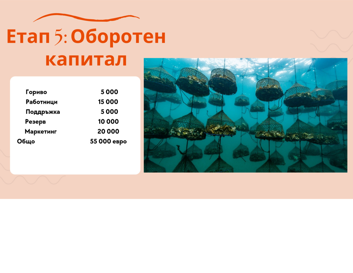 Мидена ферма под вода